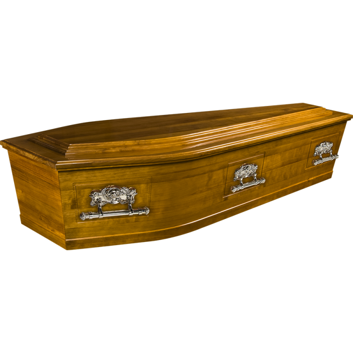 https://davisfunerals.co.nz/wp-content/uploads/2024/06/Aorangi-700x700-1.png